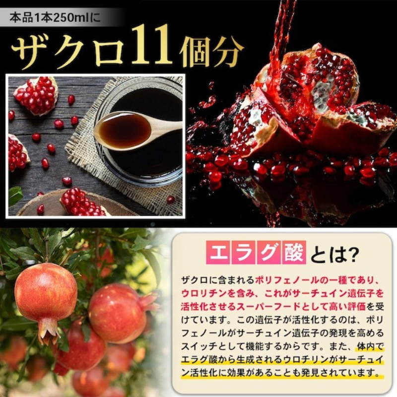 無添加オーガニック発酵ザクロ100％酢〔9〕-ソース/ドレッシング/サワードリンクに